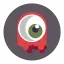DevSpy Logo